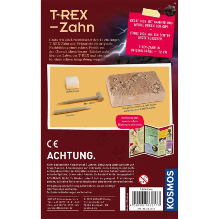T-rex - Zahn
