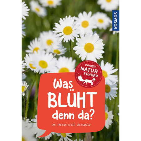 Weiße Gänseblümchen mit gelber Mitte zieren das Buchcover von Was blüht denn da? in deutscher Sprache. Weiße Gänseblümchen mit gelber Mitte zieren das Buchcover von Was blüht denn da? in deutscher Sprache.