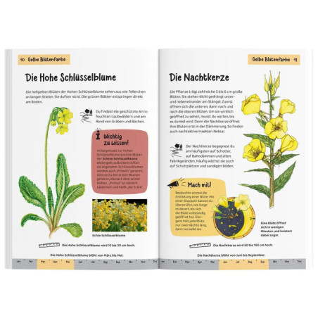 Kindernaturführer Was blüht denn da? Kindernaturführer Was blüht denn da?