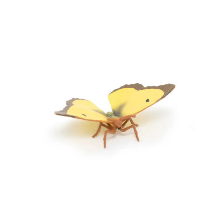 Ein gelb-brauner Schmetterling mit geöffneten Flügeln vor weißem Hintergrund.