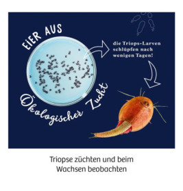 Fun Science Triops züchten