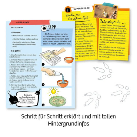 Fun Science Triops züchten
