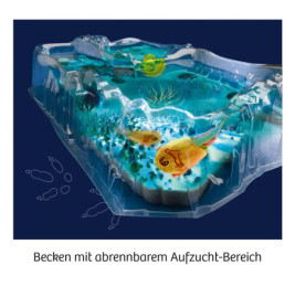 Fun Science Triops züchten