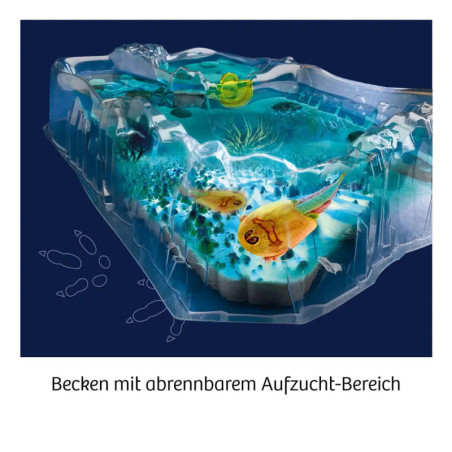 Fun Science Triops züchten