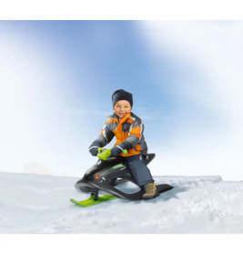 BIG-Bobby-Bob Wild Spider