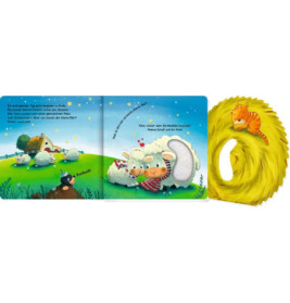 Mein 1. Guckloch-Fühlbuch: keiner Bär, wo bist du? (Fühl.&beg.)