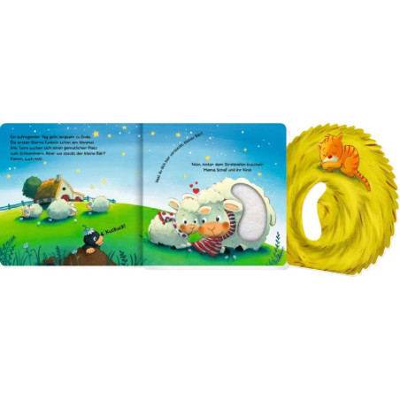 Mein 1. Guckloch-Fühlbuch: keiner Bär, wo bist du? (Fühl.&beg.)