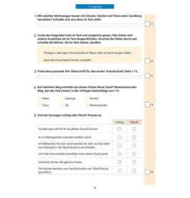 Lesetests in Deutsch - Lernzielkontrollen 3. Klasse. Ab 8 Jahre., sortiert