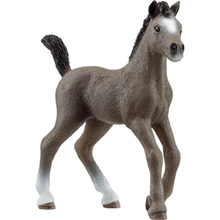 schleich® Horse Club 13957 Cheval de Selle Francais Fohlen schleich® Horse Club 13957 Cheval de Selle Francais Fohlen