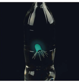 PhänoMINT Nachtleuchtender Flaschentaucher