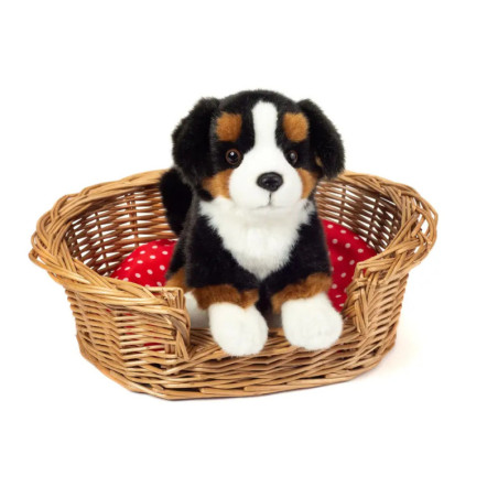 Teddy Hermann Berner Sennenhund sitzend, 21 cm