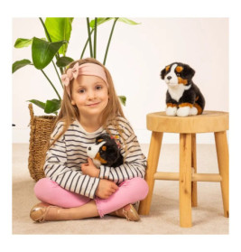 Teddy Hermann Berner Sennenhund sitzend, 21 cm