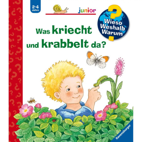 Kind im Gebüsch zeigt auf Schmetterling deutsches Buchcover mit bunten Illustrationen und Text. Kind im Gebüsch zeigt auf Schmetterling deutsches Buchcover mit bunten Illustrationen und Text.