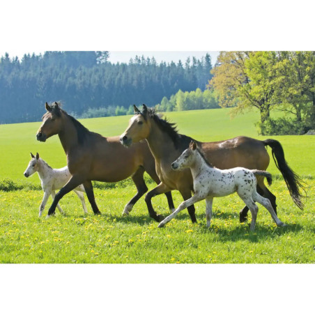 Schmidt Spiele Puzzle Pferde im Metallkoffer  2 x 26 Teile, 2 x 48 Teile