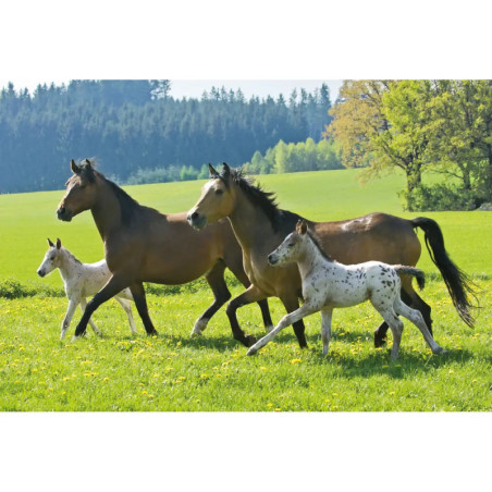 Schmidt Spiele Puzzle Pferde im Metallkoffer  2 x 26 Teile, 2 x 48 Teile