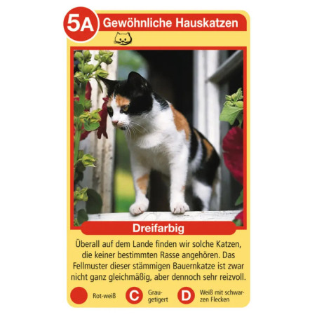 Ravenburger 20421 Katzen Tier-Quartette Tier-Quartette