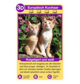 Ravenburger 20421 Katzen Tier-Quartette Tier-Quartette