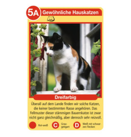 Ravenburger 20421 Katzen Tier-Quartette Tier-Quartette