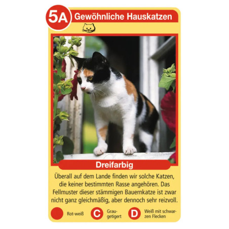 Ravenburger 20421 Katzen Tier-Quartette Tier-Quartette