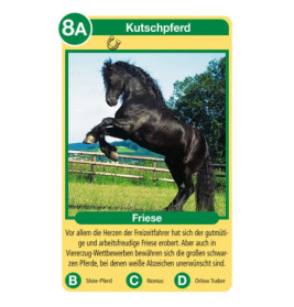 Ravenburger 20422 Pferde Tier-Quartette Tier-Quartette