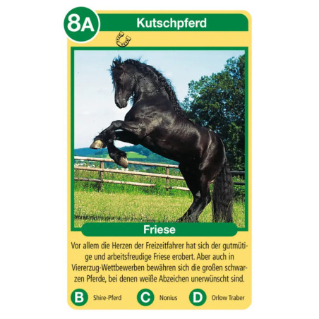 Ravenburger 20422 Pferde Tier-Quartette Tier-Quartette