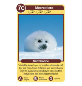 Ravenburger 20423 Tierkinder Tier-Quartette Tier-Quartette