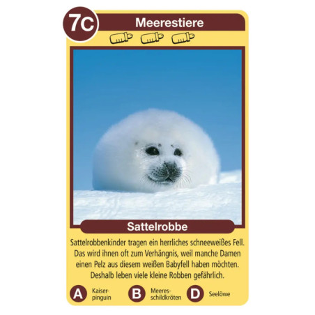 Ravenburger 20423 Tierkinder Tier-Quartette Tier-Quartette