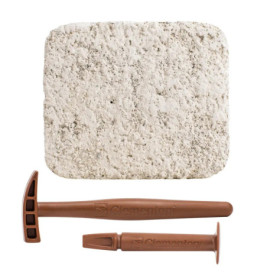 Clementoni Galileo Ausgrabungsset -Steine und Mineralien