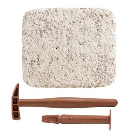 Clementoni Galileo Ausgrabungsset -Steine und Mineralien Clementoni Galileo Ausgrabungsset -Steine und Mineralien