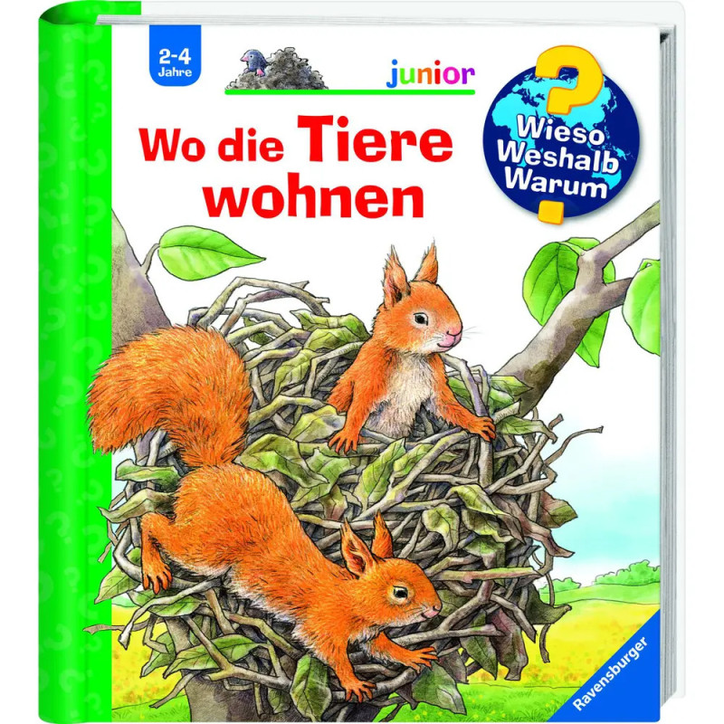 Zwei rote Eichhörnchen auf einem großen Nest im Baum, Cover eines deutschen Kinderbuchs.