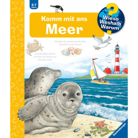 Illustration mit Seehunden, Leuchtturm, Segelboot und Muscheln deutscher Meerestext für Kinder.
