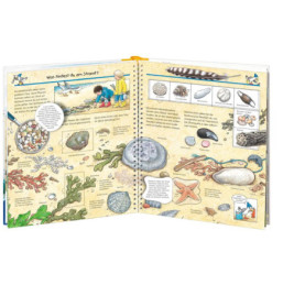 Ravenburger 32876 Wieso? Weshalb? Warum?, Band 17: Komm mit ans Meer WWW-Standard (ab 01/06)