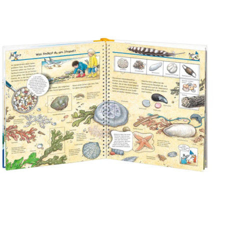 Ravenburger 32876 Wieso? Weshalb? Warum?, Band 17: Komm mit ans Meer WWW-Standard (ab 01/06)