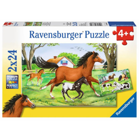 Ravensburger 88829  Puzzle Welt der Pferde 2 x 24 Teile Ravensburger 88829  Puzzle Welt der Pferde 2 x 24 Teile