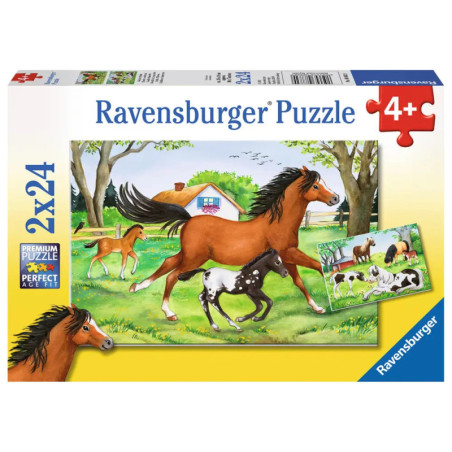 Ravensburger 88829  Puzzle Welt der Pferde 2 x 24 Teile Ravensburger 88829  Puzzle Welt der Pferde 2 x 24 Teile