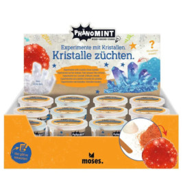 PhänoMINT Kristalle züchten