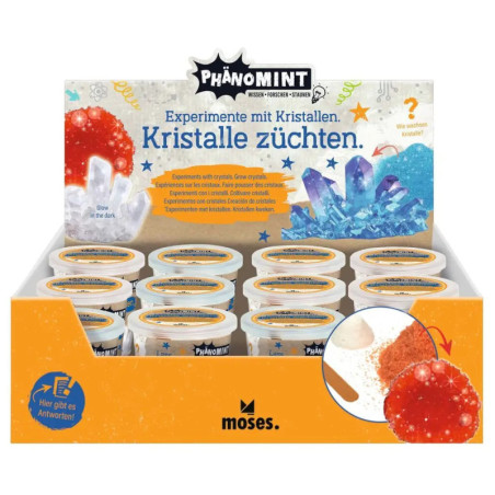 PhänoMINT Kristalle züchten