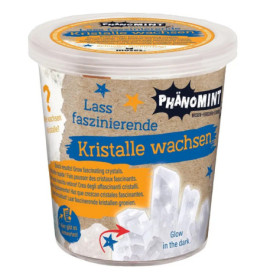 PhänoMINT Kristalle züchten