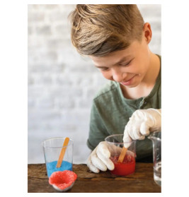 PhänoMINT Kristalle züchten