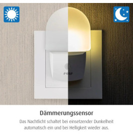 reer 52380 Nightguide - Nachtlicht mit Dämmerungssensor
