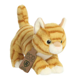 EcoNation, Orange getiegerte Katze