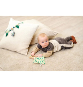 Baby HIPP Greifling