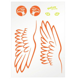 Segelflieger - Nature Zoom