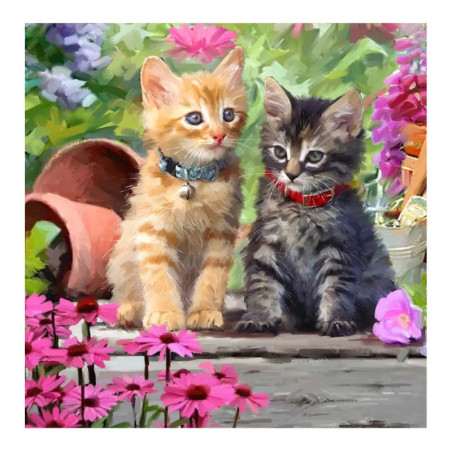 Crystal Art Katzenfreunde 18x18cm