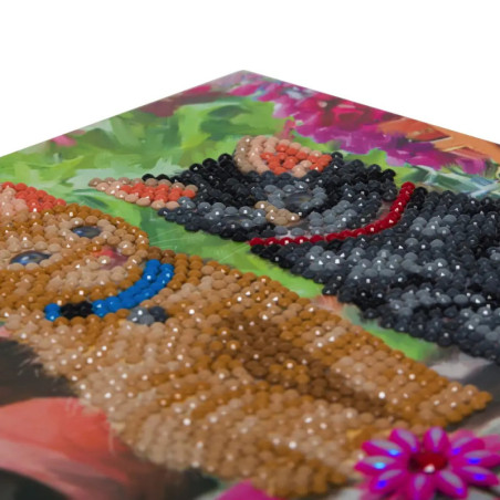 Crystal Art Katzenfreunde 18x18cm