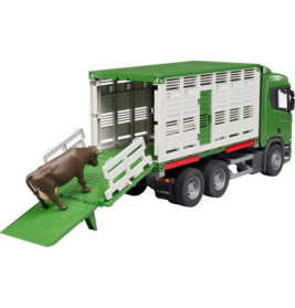 Scania Super 560R Tiertransport-LKW mit 1 Rind