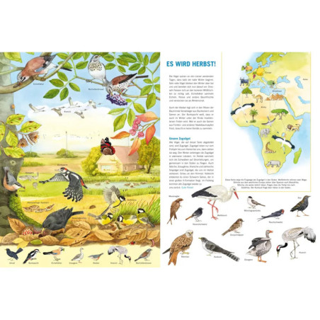 Mein großes Vogelbuch