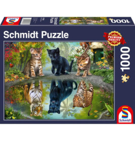 Vier Kätzchen blicken in einen Teich und sehen sich als Tiger, Panther, Gepard und Leopard gespiegelt.