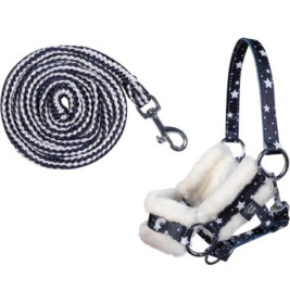 Schwarz-weißes Haustiergeschirr mit Sternmuster und gestreifter Leine, beide mit Metallclips.
