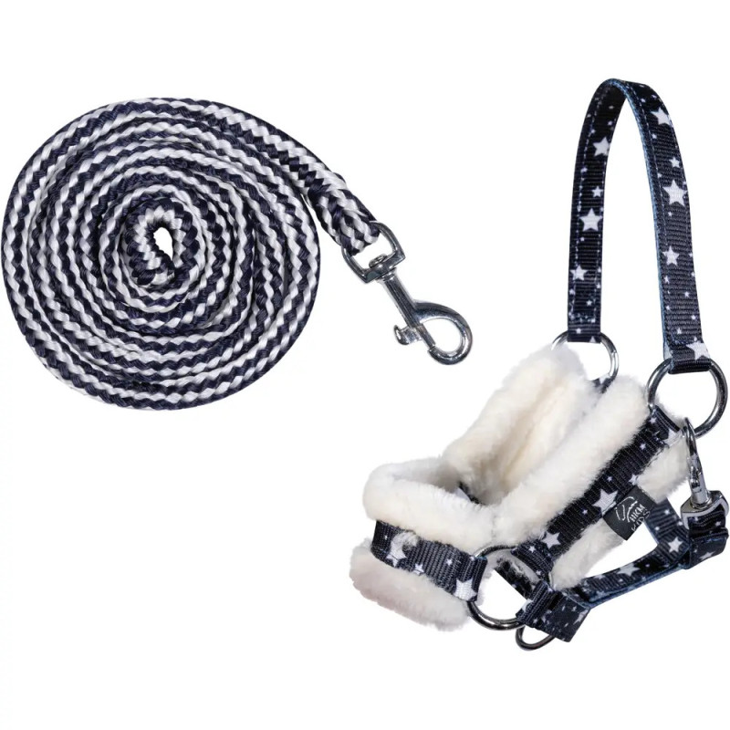 Schwarz-weißes Haustiergeschirr mit Sternmuster und gestreifter Leine, beide mit Metallclips.